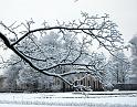 2011-01-24, Schnee (5)